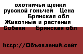 охотничьи щенки русской гоньчей › Цена ­ 3 000 - Брянская обл. Животные и растения » Собаки   . Брянская обл.